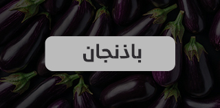 باذنجان