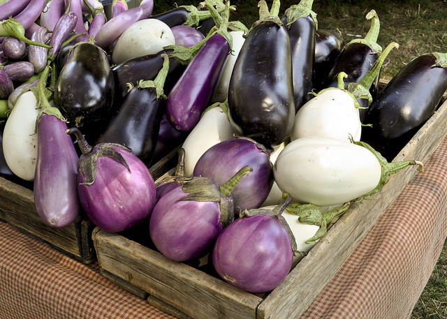 Aubergine